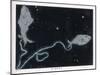 The Constellation of Pisces, the Fish-null-Mounted Art Print