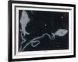 Gramercy Black