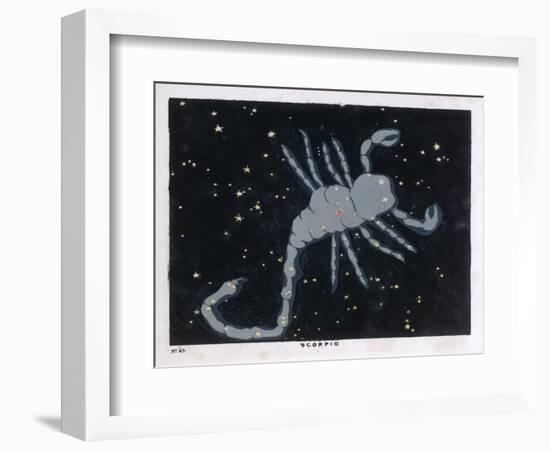 The Constellation of Scorpio, the Scorpion-null-Framed Art Print