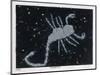 The Constellation of Scorpio, the Scorpion-null-Mounted Art Print