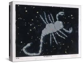 The Constellation of Scorpio, the Scorpion-null-Stretched Canvas