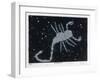 The Constellation of Scorpio, the Scorpion-null-Framed Art Print