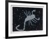 The Constellation of Scorpio, the Scorpion-null-Framed Art Print