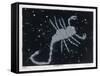 The Constellation of Scorpio, the Scorpion-null-Framed Stretched Canvas