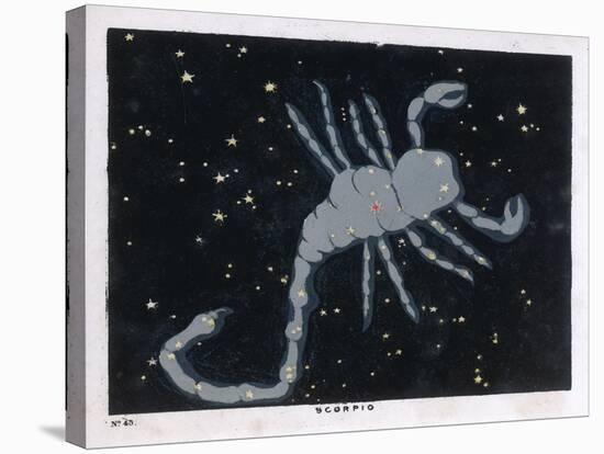 The Constellation of Scorpio, the Scorpion-null-Stretched Canvas