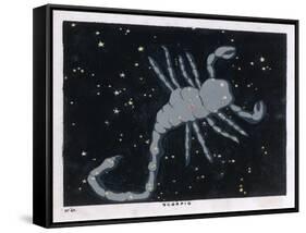 The Constellation of Scorpio, the Scorpion-null-Framed Stretched Canvas