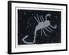 The Constellation of Scorpio, the Scorpion-null-Framed Art Print