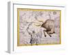 The Constellation of Taurus the Bull and Orion by James Thornhill-Stapleton Collection-Framed Giclee Print