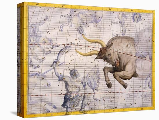 The Constellation of Taurus the Bull and Orion by James Thornhill-Stapleton Collection-Stretched Canvas