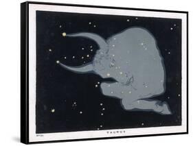 The Constellation of Taurus the Head Neck Shoulders and Forelegs of a Horned Bull-Charles F. Bunt-Framed Stretched Canvas