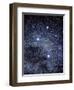 The Constellation of the Southern Cross-Luke Dodd-Framed Premium Photographic Print