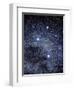 The Constellation of the Southern Cross-Luke Dodd-Framed Premium Photographic Print