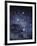 The Constellation of the Southern Cross-Luke Dodd-Framed Premium Photographic Print