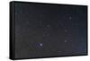 The Constellation of Virgo-null-Framed Stretched Canvas