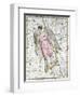 The Constellation Virgo from A Celestial Atlas-A. Jamieson-Framed Giclee Print