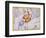 The Constellations of Libra and Scorpio by James Thornhill-Stapleton Collection-Framed Premium Giclee Print