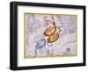 The Constellations of Libra and Scorpio by James Thornhill-Stapleton Collection-Framed Premium Giclee Print