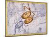 The Constellations of Libra and Scorpio by James Thornhill-Stapleton Collection-Mounted Premium Giclee Print