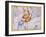 The Constellations of Libra and Scorpio by James Thornhill-Stapleton Collection-Framed Giclee Print