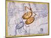 The Constellations of Libra and Scorpio by James Thornhill-Stapleton Collection-Mounted Giclee Print