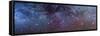 The Constellations of Puppis and Vela in the Southern Milky Way-null-Framed Stretched Canvas