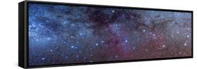 The Constellations of Puppis and Vela in the Southern Milky Way-null-Framed Stretched Canvas