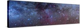 The Constellations of Puppis and Vela in the Southern Milky Way-null-Stretched Canvas