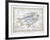 The Constellations-Alexander Jamieson-Framed Giclee Print