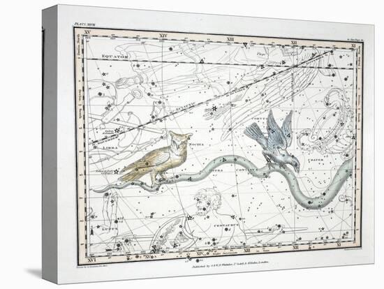 The Constellations-Alexander Jamieson-Stretched Canvas
