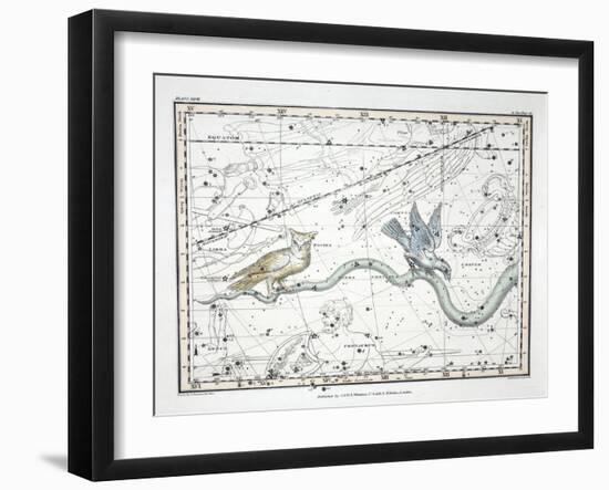 The Constellations-Alexander Jamieson-Framed Giclee Print