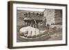 The Construction of the Statue of Liberty, Detail of the Feet, C.1876-French Photographer-Framed Photographic Print