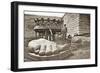 The Construction of the Statue of Liberty, Detail of the Feet, C.1876-French Photographer-Framed Photographic Print