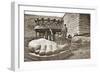 The Construction of the Statue of Liberty, Detail of the Feet, C.1876-French Photographer-Framed Photographic Print