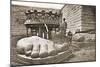 The Construction of the Statue of Liberty, Detail of the Feet, C.1876-French Photographer-Mounted Photographic Print