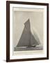 The Contest for the America Cup at New York-null-Framed Giclee Print