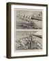 The Contest for the America Cup, Final Practice before the Race-T. Dart Walker-Framed Giclee Print