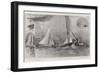 The Contest for the America Cup, the Rival Yachts-Henry Charles Seppings Wright-Framed Giclee Print