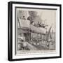 The Contest for the America Cup, the Shamrock's Voyage-null-Framed Giclee Print