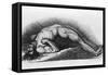 The Contracted Body of Soldier Suffering from Tetanus-Charles Bell-Framed Stretched Canvas