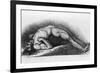 The Contracted Body of Soldier Suffering from Tetanus-Charles Bell-Framed Art Print