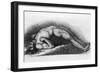 The Contracted Body of Soldier Suffering from Tetanus-Charles Bell-Framed Premium Giclee Print