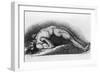 The Contracted Body of Soldier Suffering from Tetanus-Charles Bell-Framed Premium Giclee Print