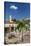 The Convento de San Francisco and Plaza Mayor, Trinidad, UNESCO World Heritage Site, Cuba, West Ind-Michael Nolan-Stretched Canvas