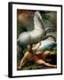 The Conversion of Saint Paul, Ca 1528-Parmigianino-Framed Giclee Print