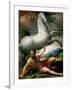 The Conversion of Saint Paul, Ca 1528-Parmigianino-Framed Giclee Print