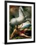 The Conversion of Saint Paul, Ca 1528-Parmigianino-Framed Giclee Print