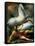 The Conversion of Saint Paul, Ca 1528-Parmigianino-Framed Stretched Canvas