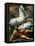 The Conversion of Saint Paul, Ca 1528-Parmigianino-Framed Stretched Canvas