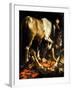 The Conversion of St. Paul, 1601-Michelangelo Merisi da Caravaggio-Framed Giclee Print