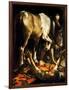 The Conversion of St. Paul, 1601-Michelangelo Merisi da Caravaggio-Framed Giclee Print